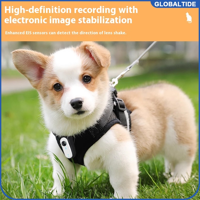 Outdoor Adventure Videos - Waterproof Mini Body Camera for Dogs