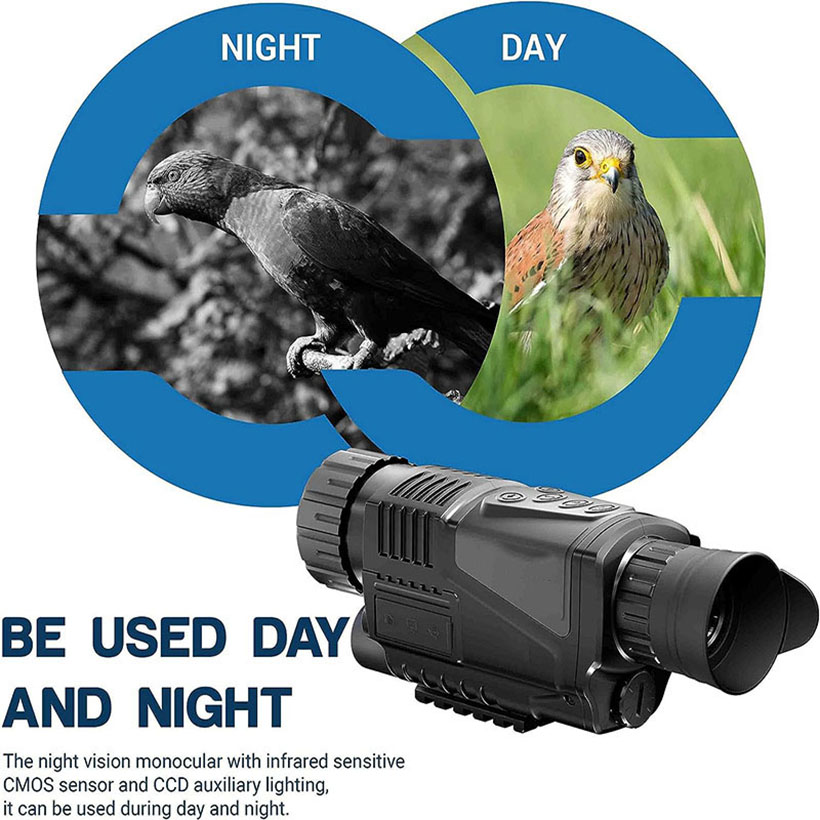 Low Light Night Vision Hunting - Outdoor Adventure Videos ulasan dan harga